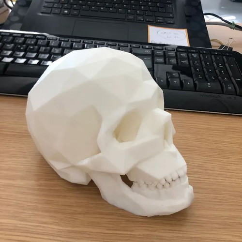 Desk decorative skull new in white, black, and gray