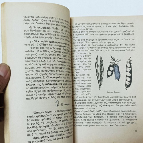Physical History Grade 6 Used Book from the 1960s