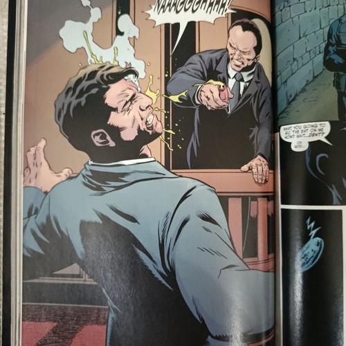 Batman Year One: Two-Face and Scarecrow DC Comics TPB 2009 English