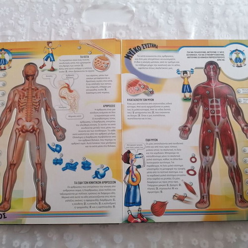 The Body Book Olga Petrovskaya susaeta like new