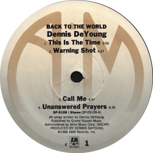 Dennis De Young Back To The World vinyl record used, rock