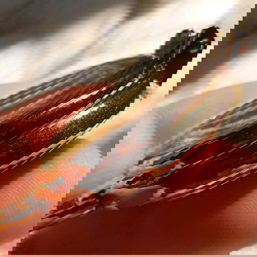 BYSER Ρολόι Τσέπης Quartz σαν καινούργιο, χρυσό