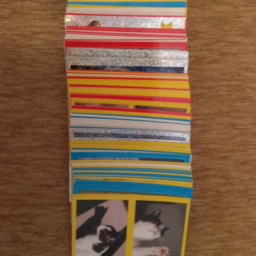 Panini Friends Our Animals 2018 Album new with 573 stickers