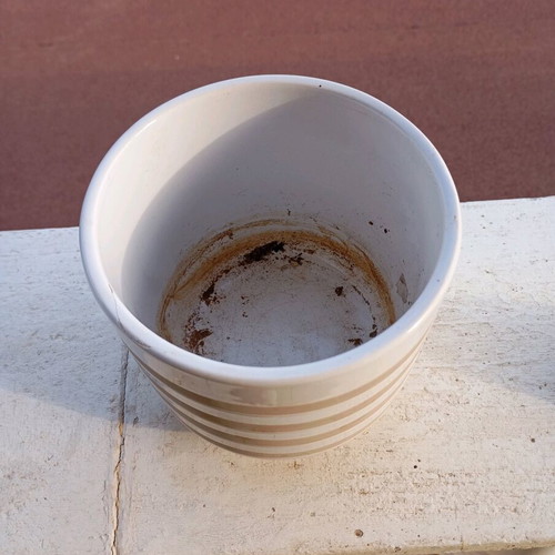 Ceramic Sinsay flowerpot like new