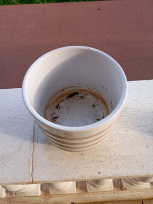 Ceramic Sinsay flowerpot like new
