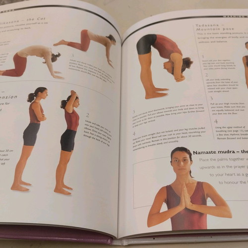 Yoga Practical Learning Guide new book