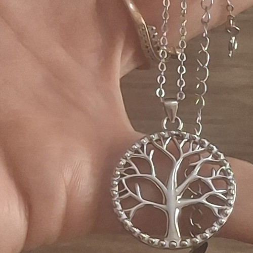 Silver s925 family tree necklace and earrings set
