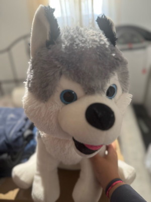 Plush husky large, like new