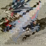  Φιγούρα Dragon 13 cm