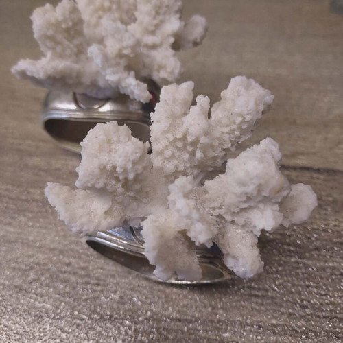 Hans Turnwald napkin rings with white coral, like new