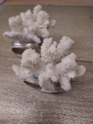 Hans Turnwald napkin rings with white coral, like new