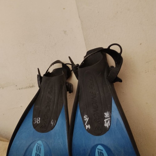 Fins in good condition