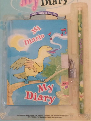Diary with padlock and pencil new