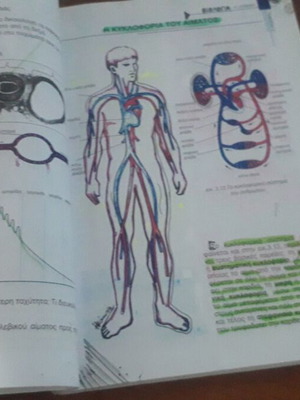 Biology A General Lyceum textbook like new, Greek