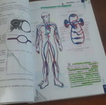 Biology A General Lyceum textbook like new, Greek