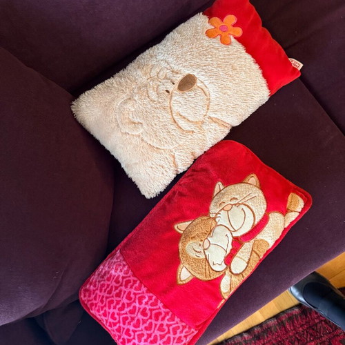 Children's decorative pillows used, set of 2 with teddy bear and kittens