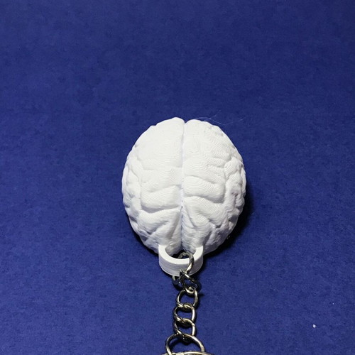 Brain Use It 3D Printed Keychain New