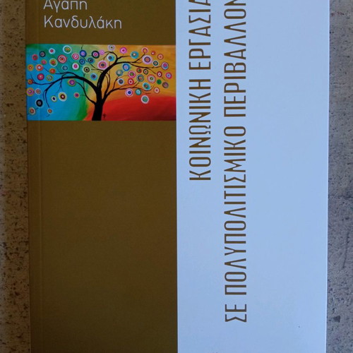 Social Work in Multicultural Environment new, 3rd Edition