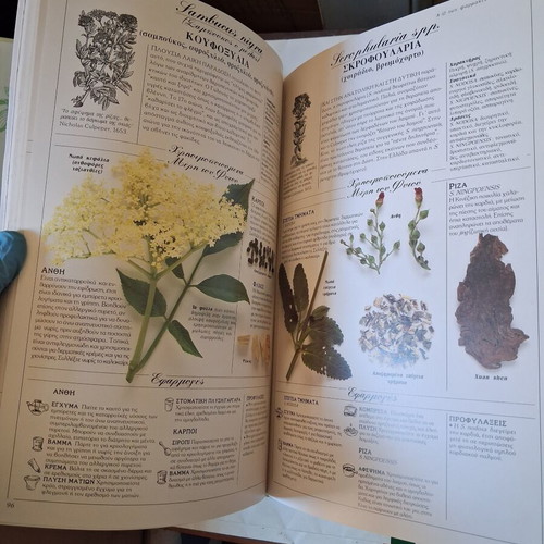 The Herb Society's Complete Guide to Medicinal Herbs by Penelope Ody like new, Greek edition