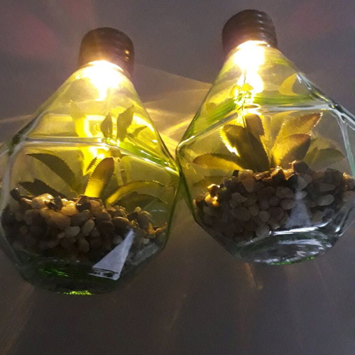 Decorative lighting like new with glass, pebbles and artificial plant
