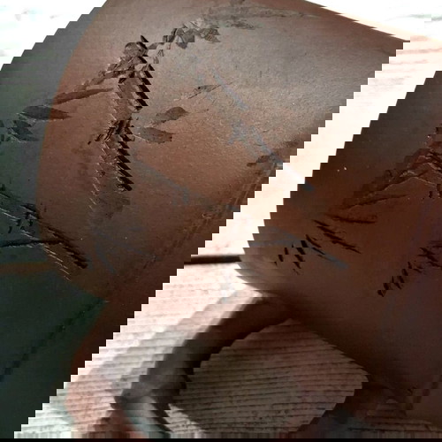 Yixing Zisha teapot new with embossed dragon decoration