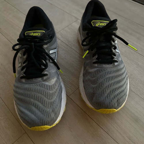 Asics Gel Nimbus 22