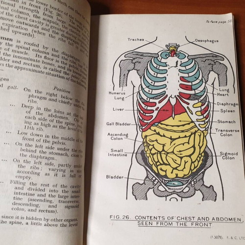 Royal Army Medical Corps Training Pamphlet No 3 1944 used