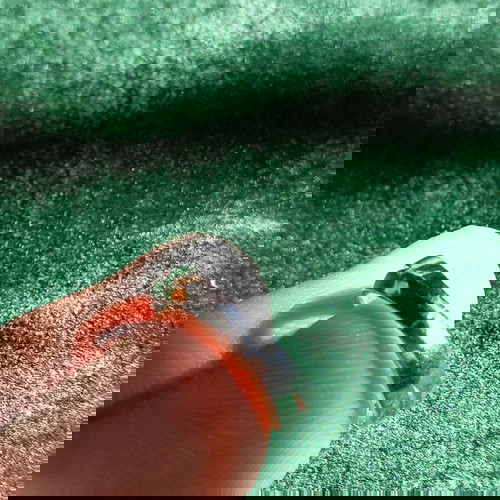 Ασημένιο δαχτυλίδι 925