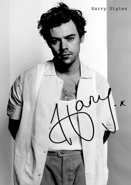 Harry styles poster