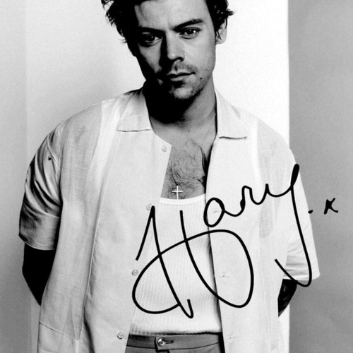 Harry Styles poster new