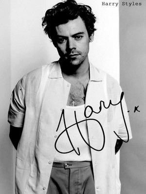Harry Styles poster new