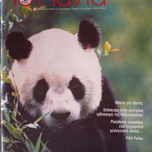 To Panta magazine used, 14 WWF issues 1998-2003