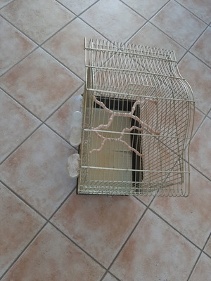 Μεγάλο κλουβί 50x42x27 εκ. με ταΐστρες και κλαδάκια