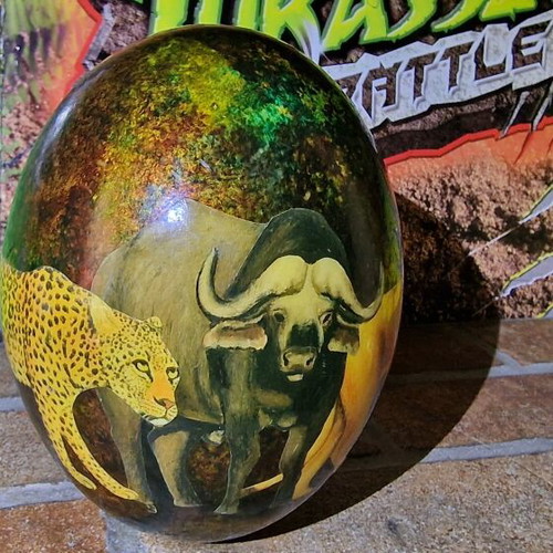 Ostrich Egg for Decoration like new