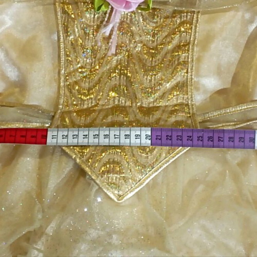 Golden princess carnival costume like new