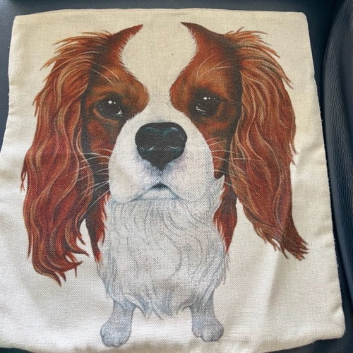 Pillow cover used 45x45 with Cavalier King Charles dog print