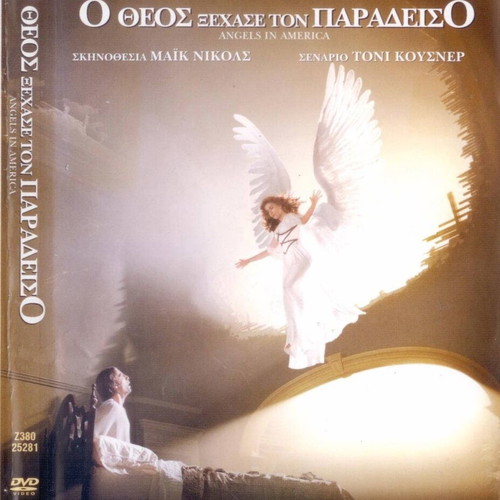 Angels in America DVD used, 2-disc set with subtitles