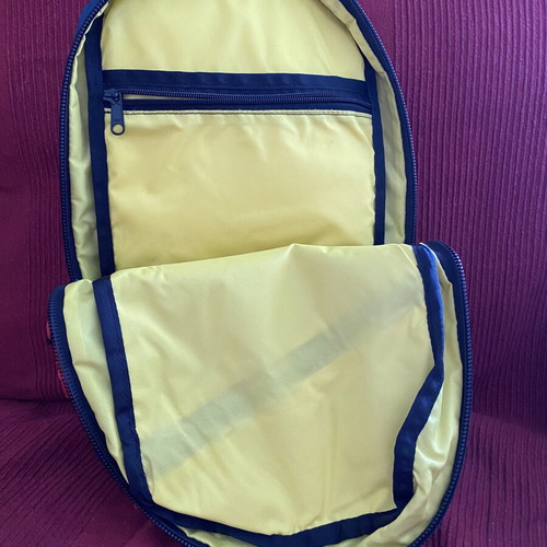 Topo Designs backpack blue like new