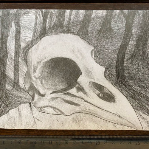 Raven Skull drawing new, graphite A5 with acrylic varnish