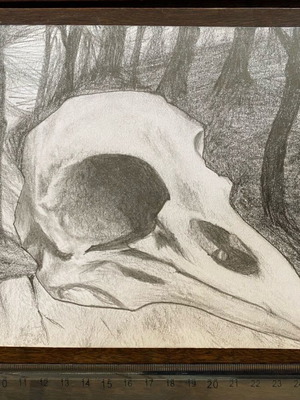 Raven Skull drawing new, graphite A5 with acrylic varnish