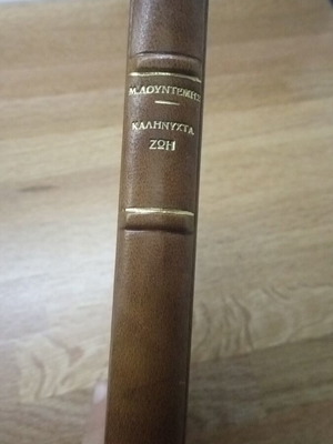Kalinyhta Zoi Lountemis leather new
