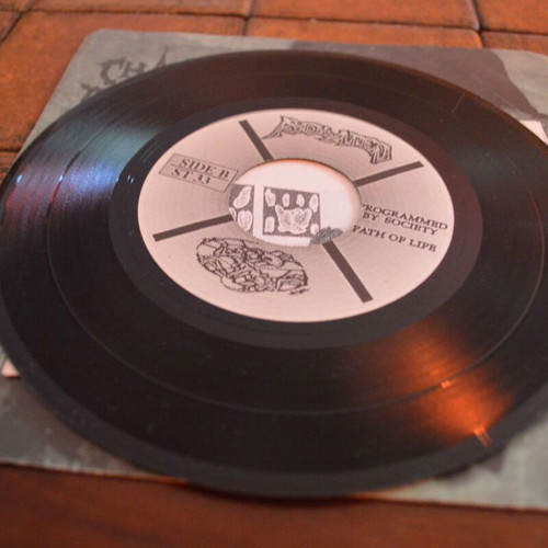 Chaos And Technocracy 7'' Single near mint, Death Metal