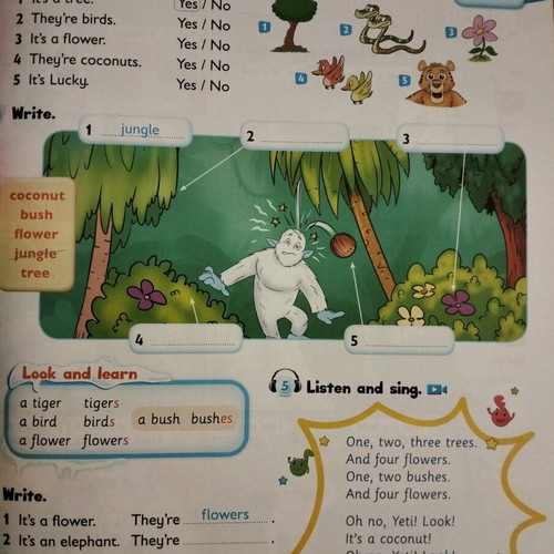 Yeti and Friends Junior Pupil's Book new with picture dictionary