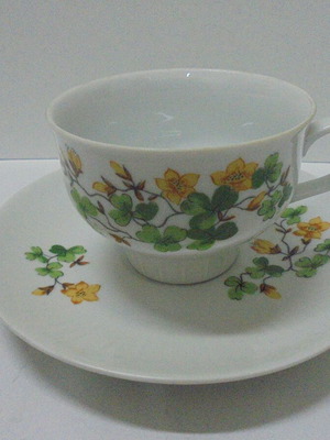 Hennenberg Porzellan double porcelain set used with cup and saucer