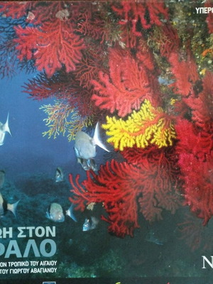 Life on the Reef like new