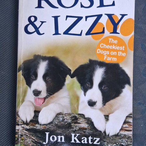 Rose & Izzy children's book used in very good condition