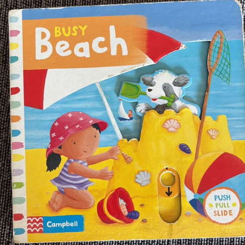 Busy Beach children's book