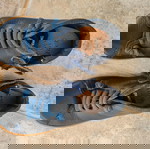  Camper shoes like new