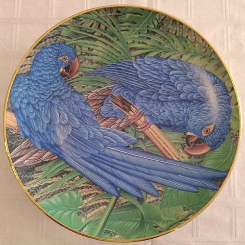 Collectible plates used, set of 5, tropical parrots, Kaiser W. Germany