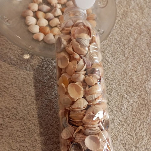Bottle 0.5L filled with seashells for crafts